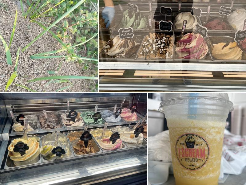 I Scream Gelato - Gulf Shores