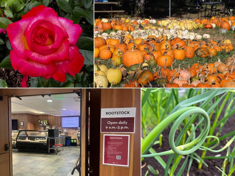 The Eatery at the Arboretum