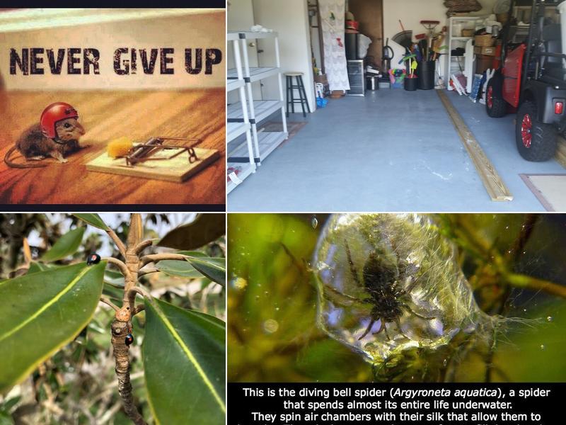 J M Nord Pest Control Inc