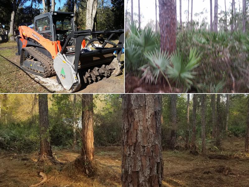 LE Land Clearing & Forestry Mulching