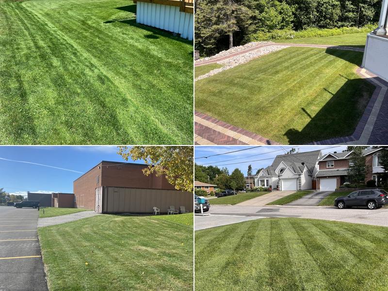 Chad's Grass Snow and More