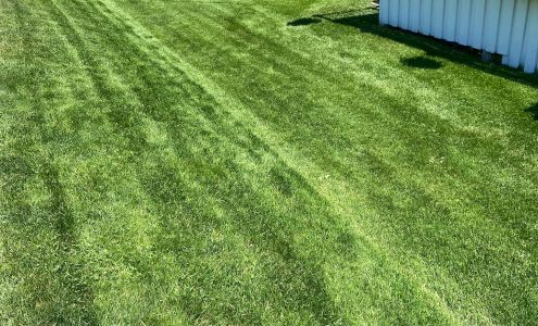 Chad's Grass Snow and More