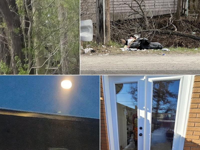 M Champagne Siding Ltd