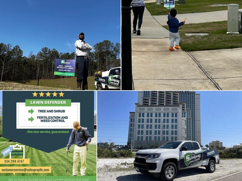 SafeSpray Pest Control and Termite