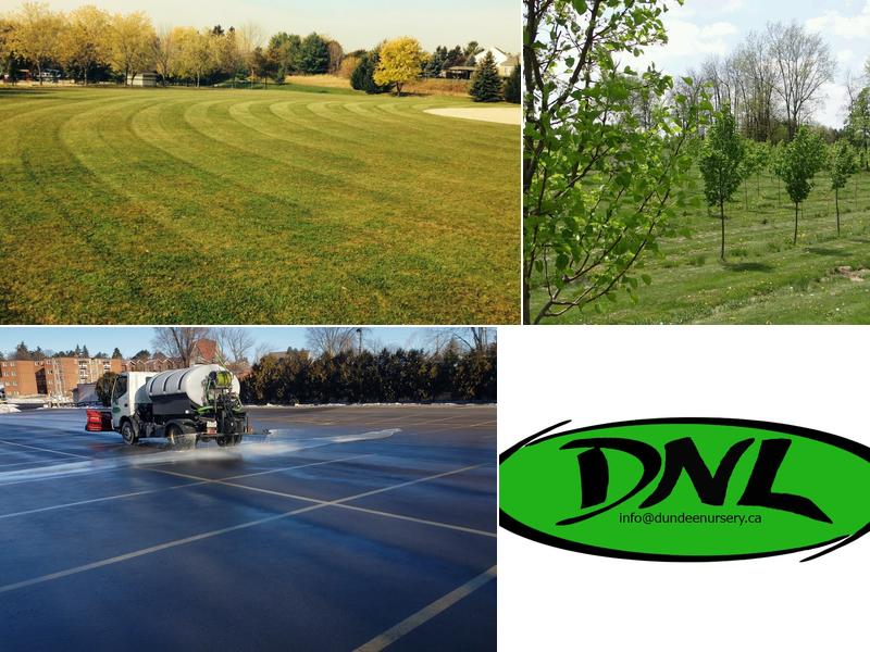 Dundee Nursery & Landscaping