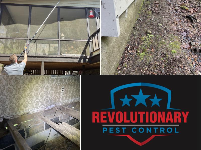 Revolutionary Pest Control LLC