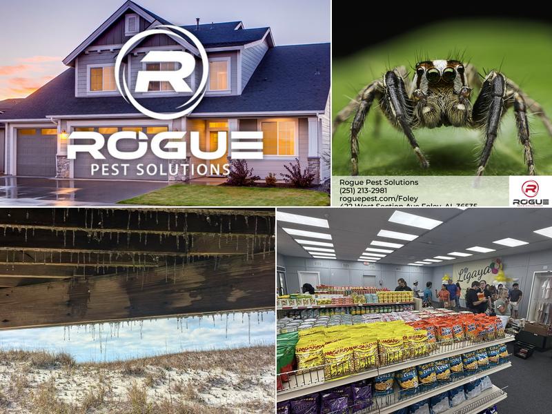 Rogue Pest Solutions