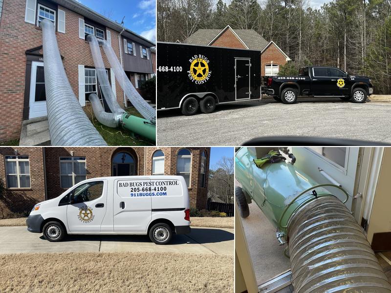 Bad Bugs Pest Control