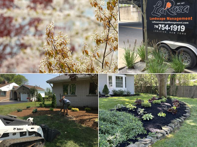 LaRosa Landscape Management