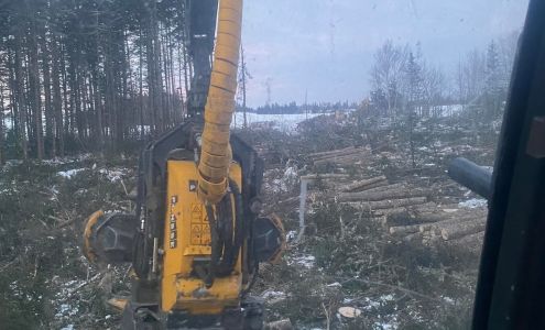 Crane's Land Clearing Ltd.
