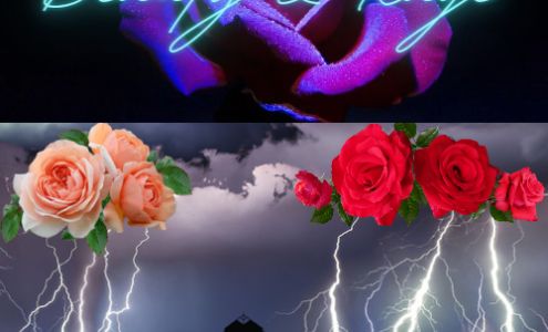 Beauty & Rage / BR Mart