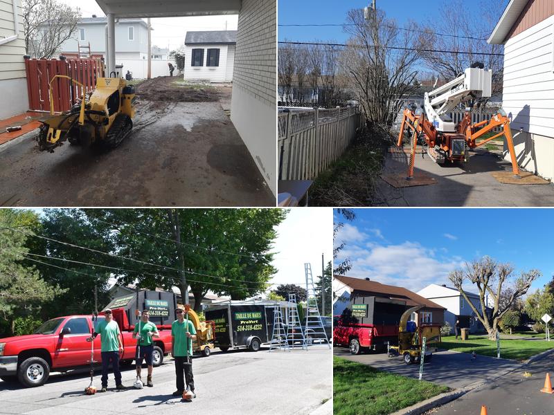 Satisfaction Pro-Vert