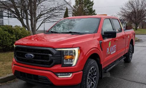 Plante Entretien Extérieur