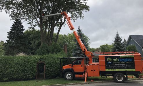 Émondage Arboxygène 1168 Rue Denison E, Shefford Quebec J2M 1Y8
