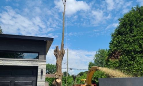 Emondage FL 1341 Rue Principale, Île-aux-Noix Quebec J0J 1G0