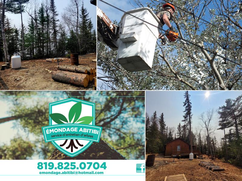 Emondage Abitibi Inc