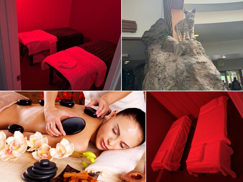 Anna’s wellness spa