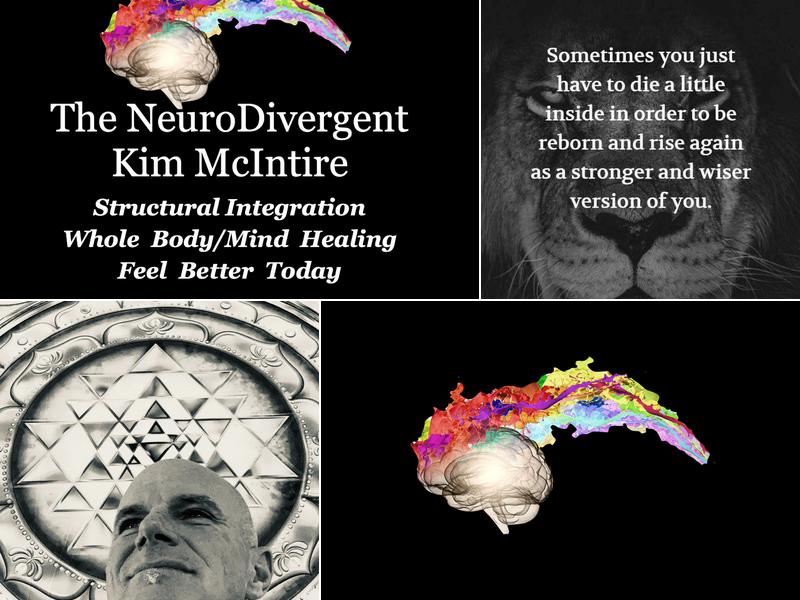 Kim McIntire The Neurodivergent
