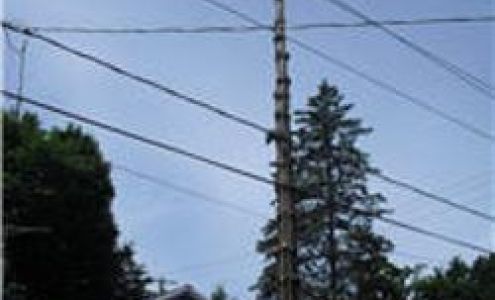 Arboriculture Lapointe 271 Rue Montcalm, Saint-Colomban Quebec J5K 2N3