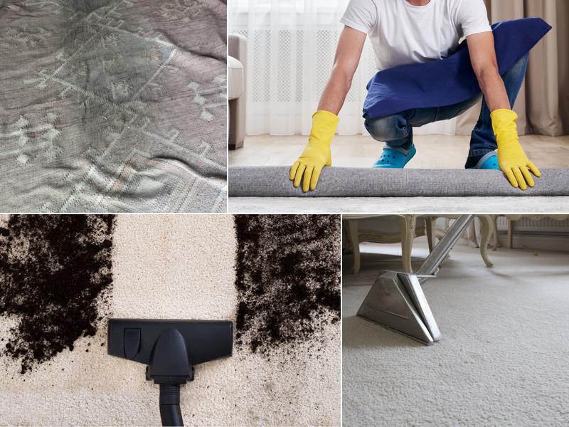 Pro Team Carpet Service