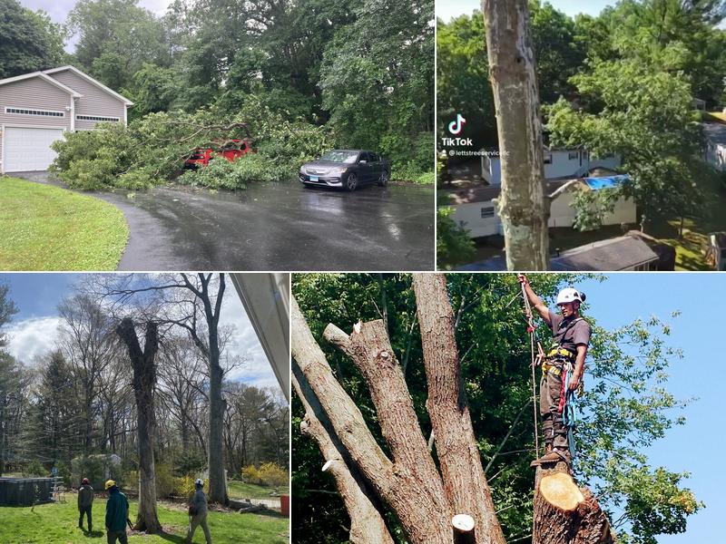 Letts Tree Service LLC