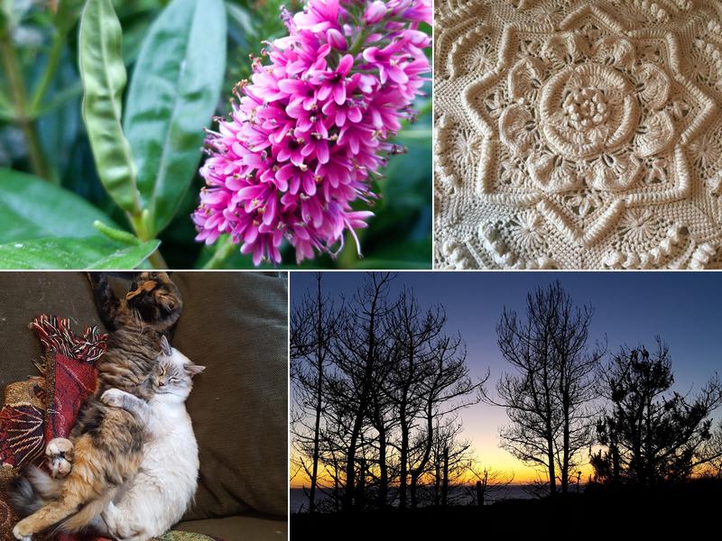 Errin Schroeder, Notary Public