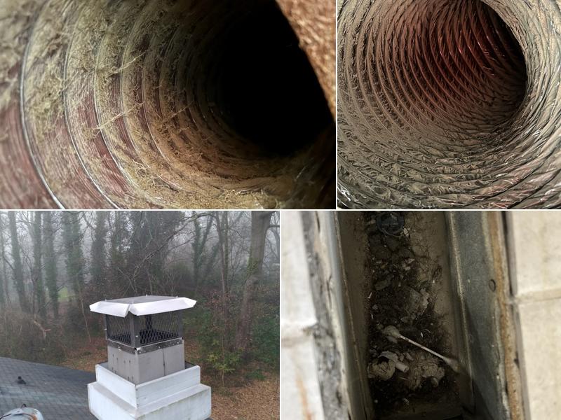 Carolina Ductmasters