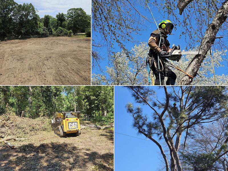 New Life Tree Service