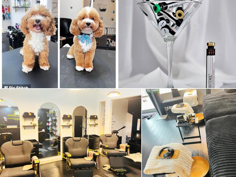 Winston’s barber & massage spa