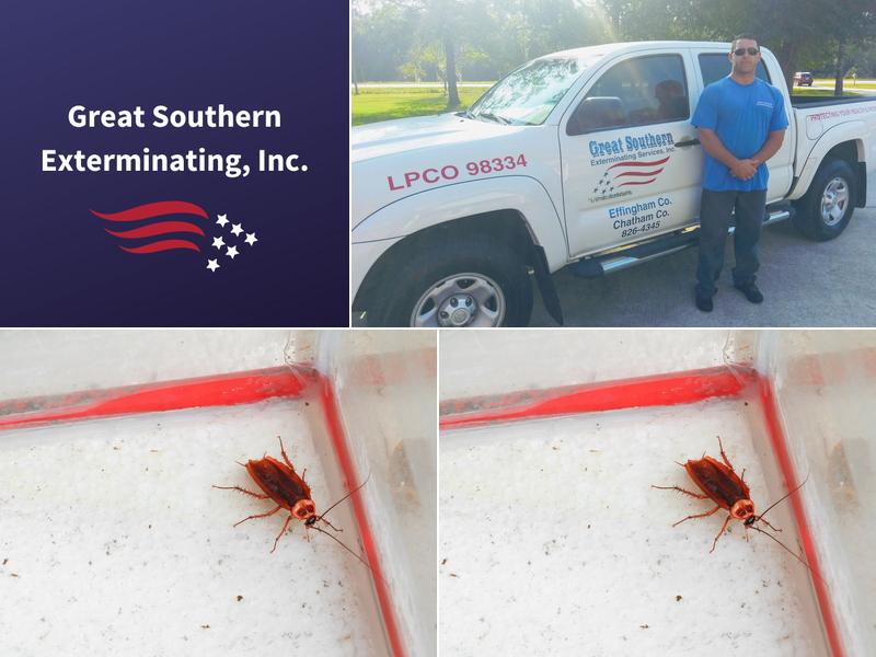 Great Southern Exterminating Service Inc