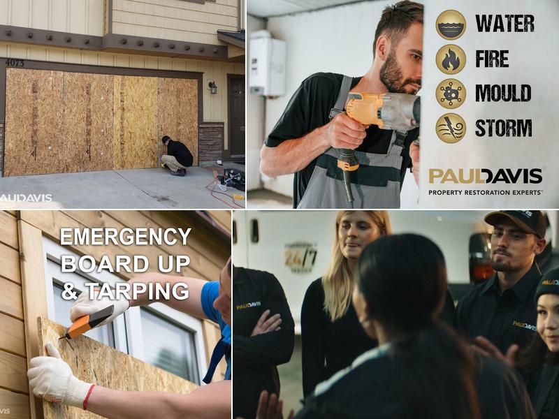 Paul Davis North Bay