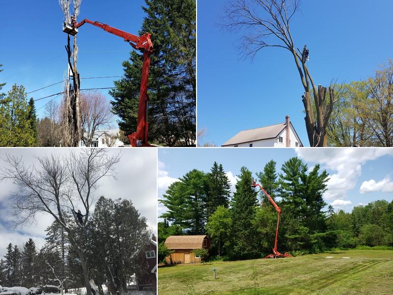 Emondage Ivan Converset