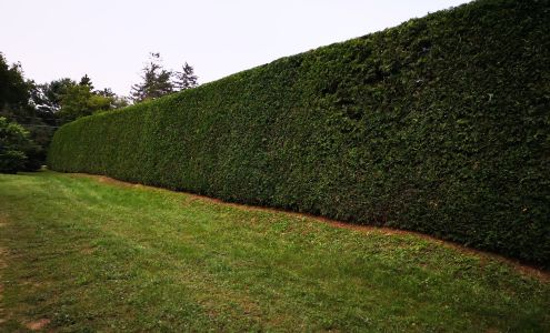 Amour Maisonnée 115A 85e Avenue, Saint-Zotique Quebec J0P 1Z0