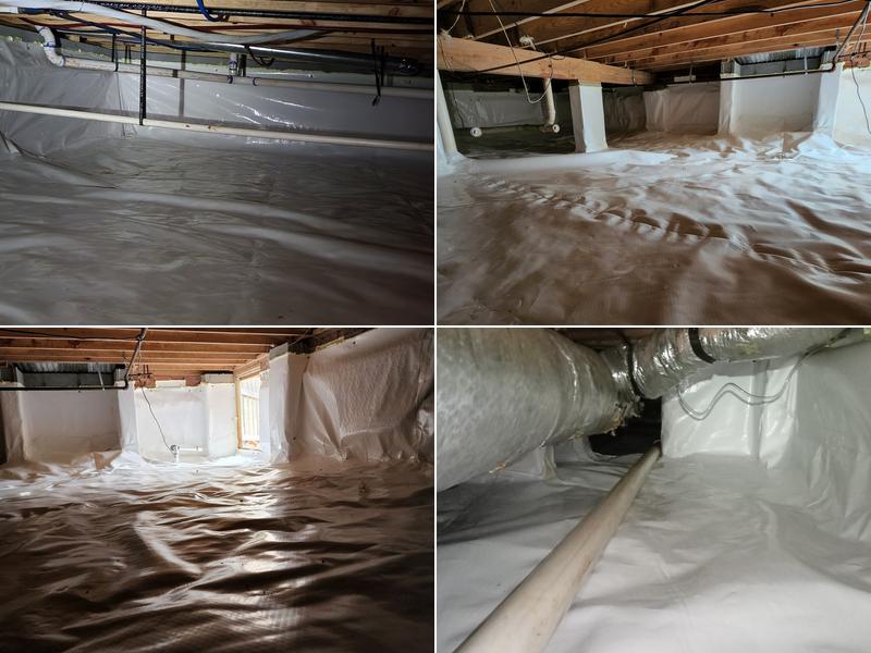 Encapsulation Professionals