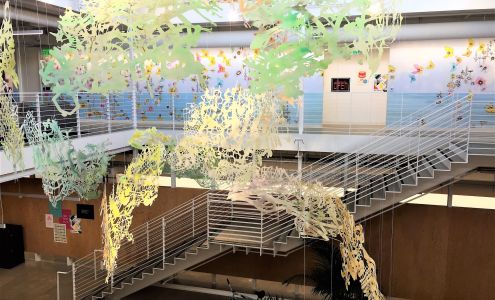 The Bridge Group LLC