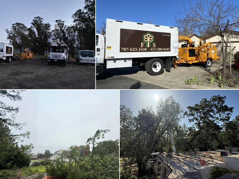 Fernandez Tree Service Inc.