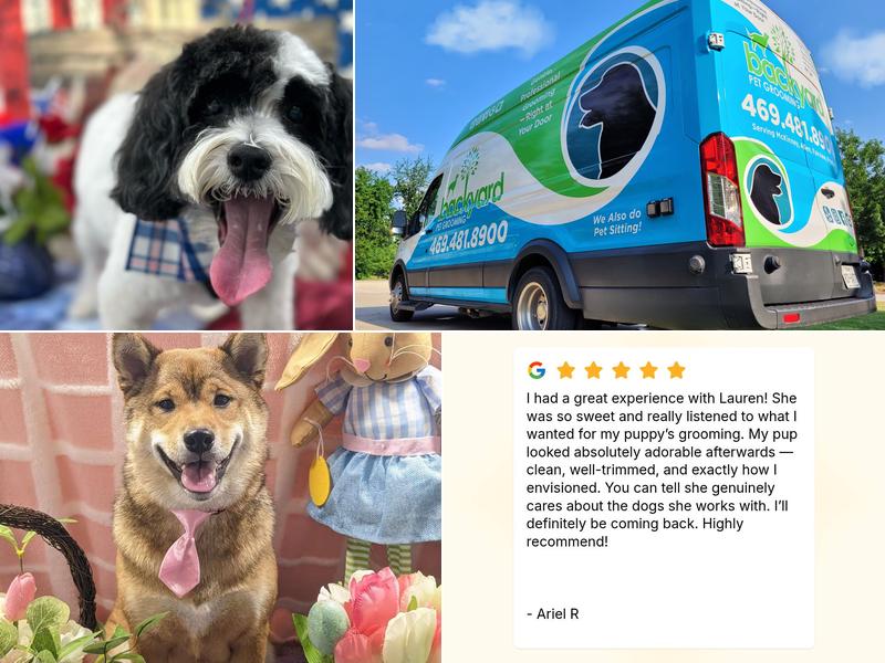 Backyard Pet Grooming