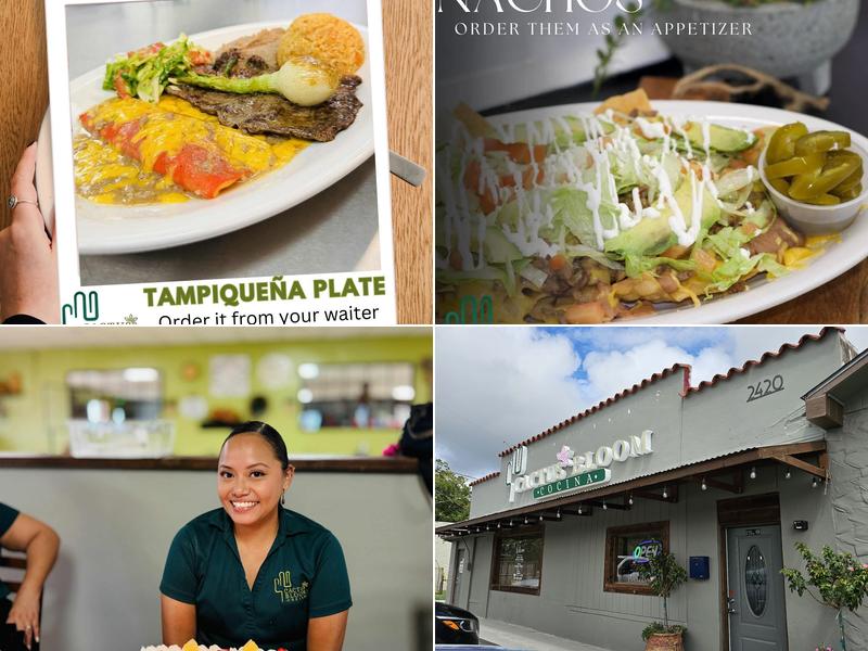 Cactus Bloom Cocina 2420 W Kingsbury St, Seguin