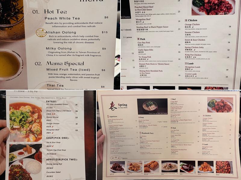 Spring by China MaMa Menu