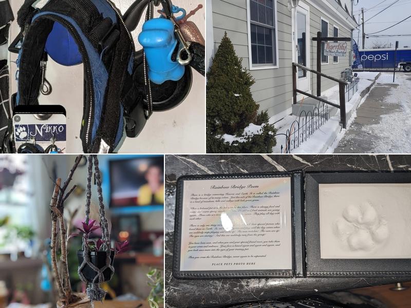 Tigerlily The Beauty Boutique