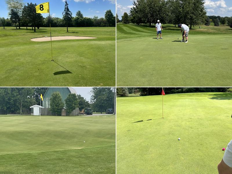 Big Al's Greens & Grille