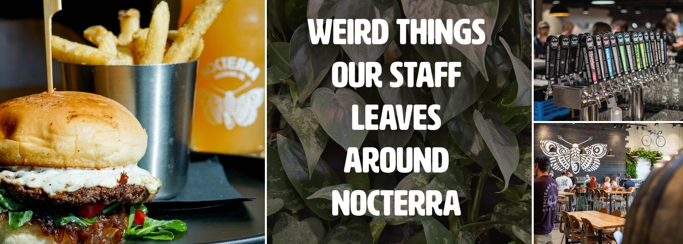 Nocterra Brewing Co. - Audubon