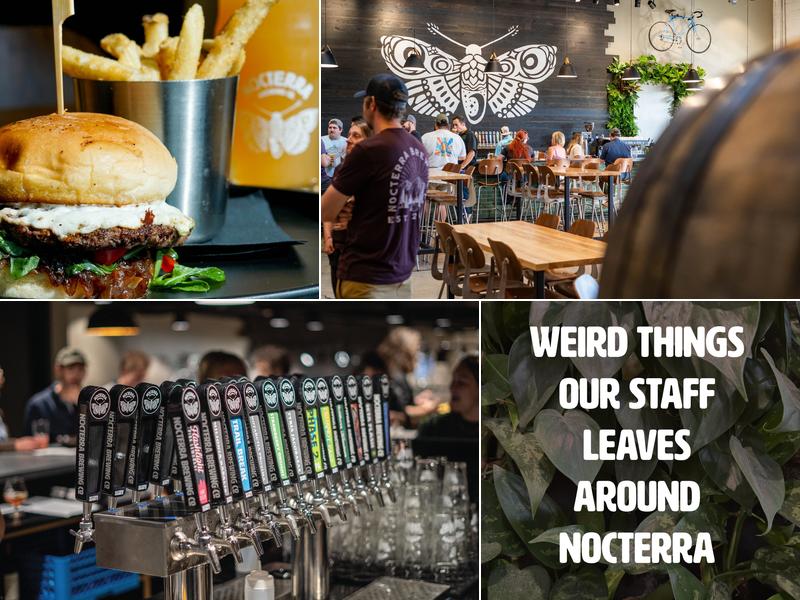 Nocterra Brewing Co. - Audubon