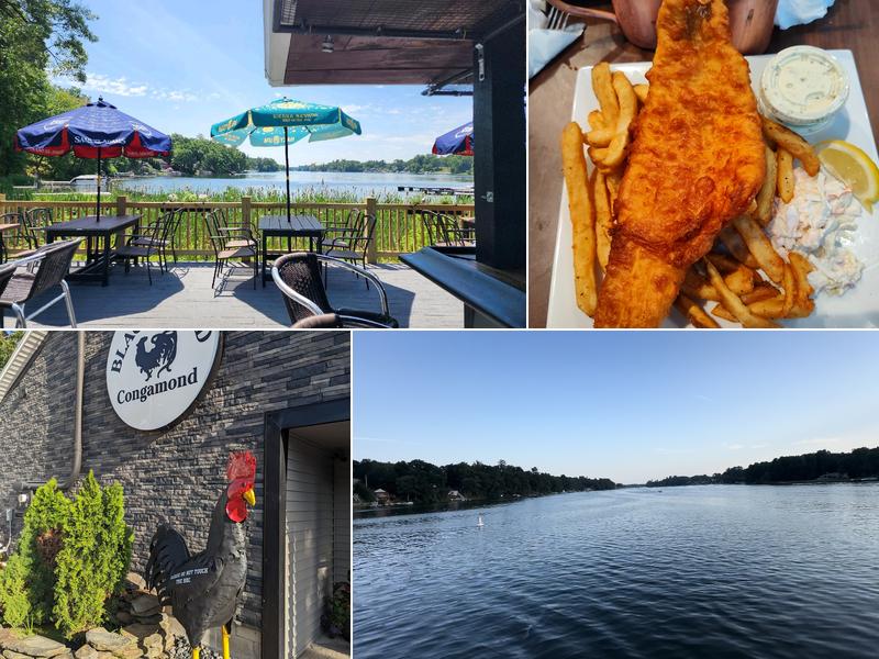 Blackboard Congamond 101 Point Grove Rd, Southwick