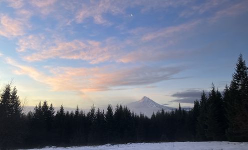 A Life With Trees LLC Hood River Oregon 