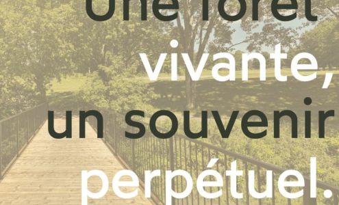 Cimetière Forêt de la Seconde Vie Sainte-Sophie