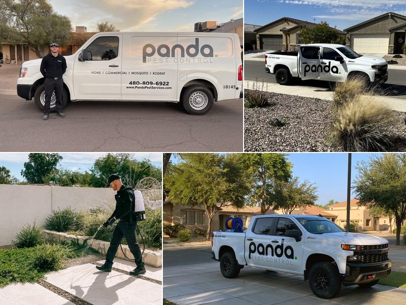 Panda Pest Control