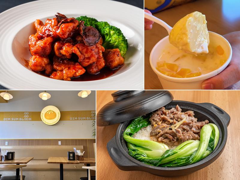 Dim Sum Bloom Rockville Centre 18 S Village Ave, Rockville Centre