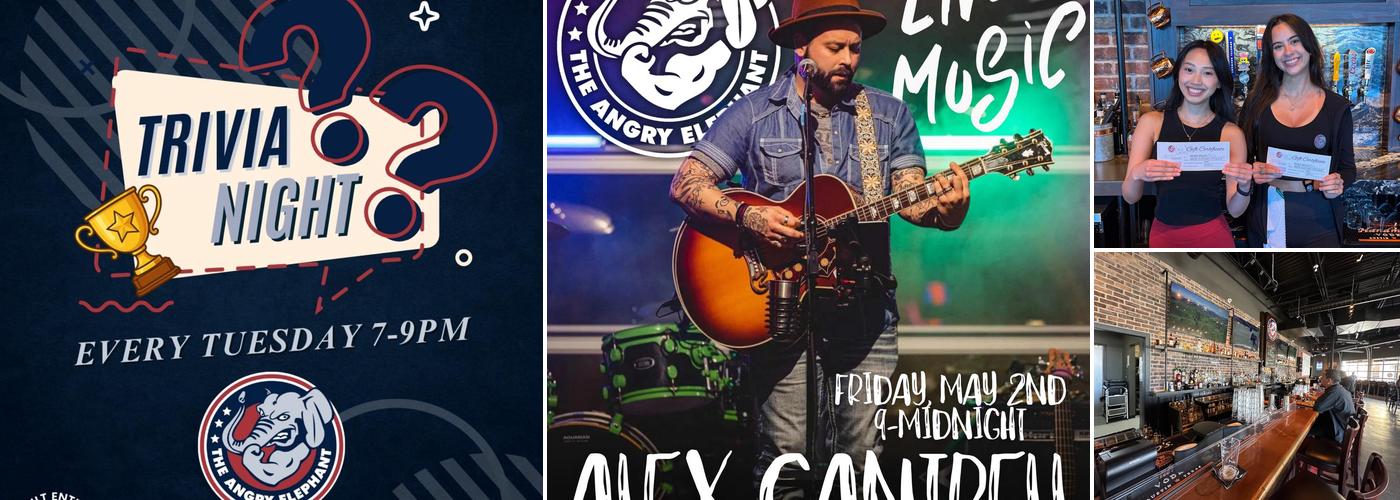 The Angry Elephant - Little Elm