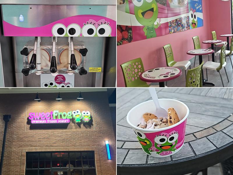 Sweet Frog Fort Mill